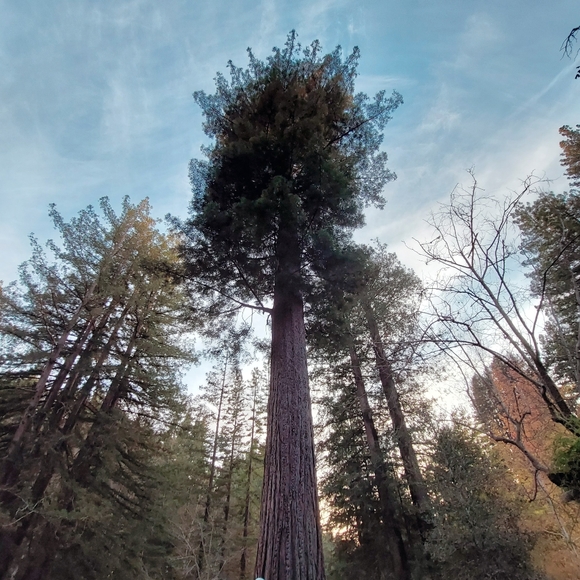 Heather's Loft - Picture 4 of 15